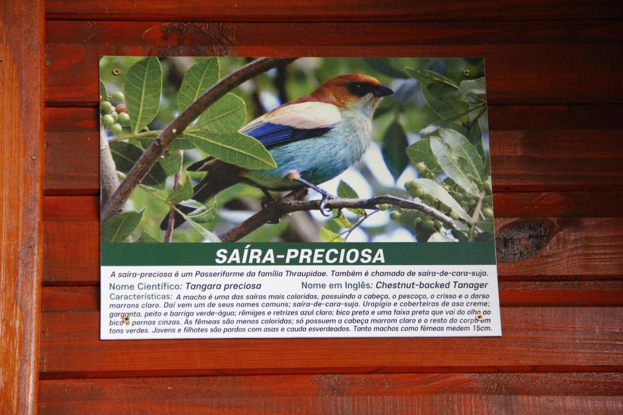 Recanto Da Mata Pousada São Francisco de Paula المظهر الخارجي الصورة
