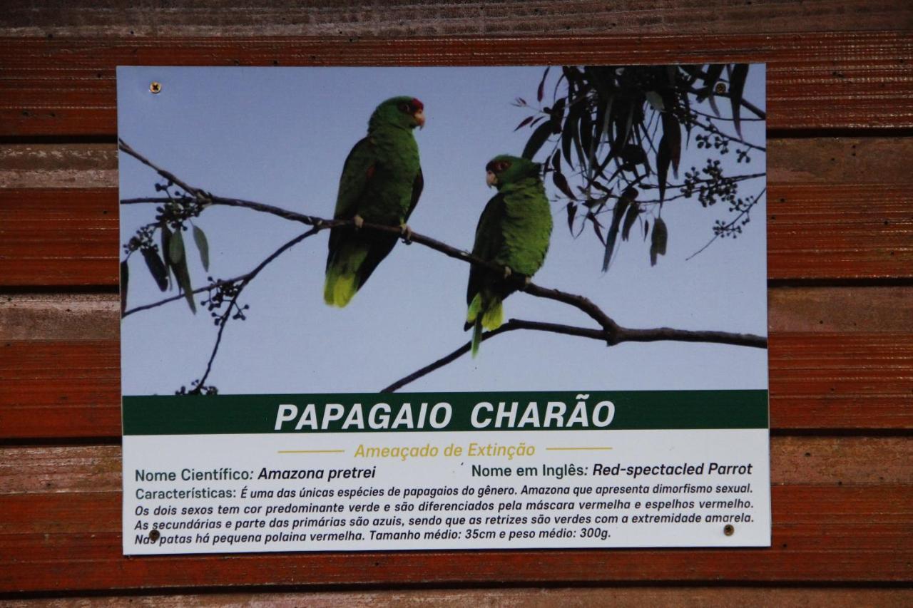 Recanto Da Mata Pousada São Francisco de Paula المظهر الخارجي الصورة