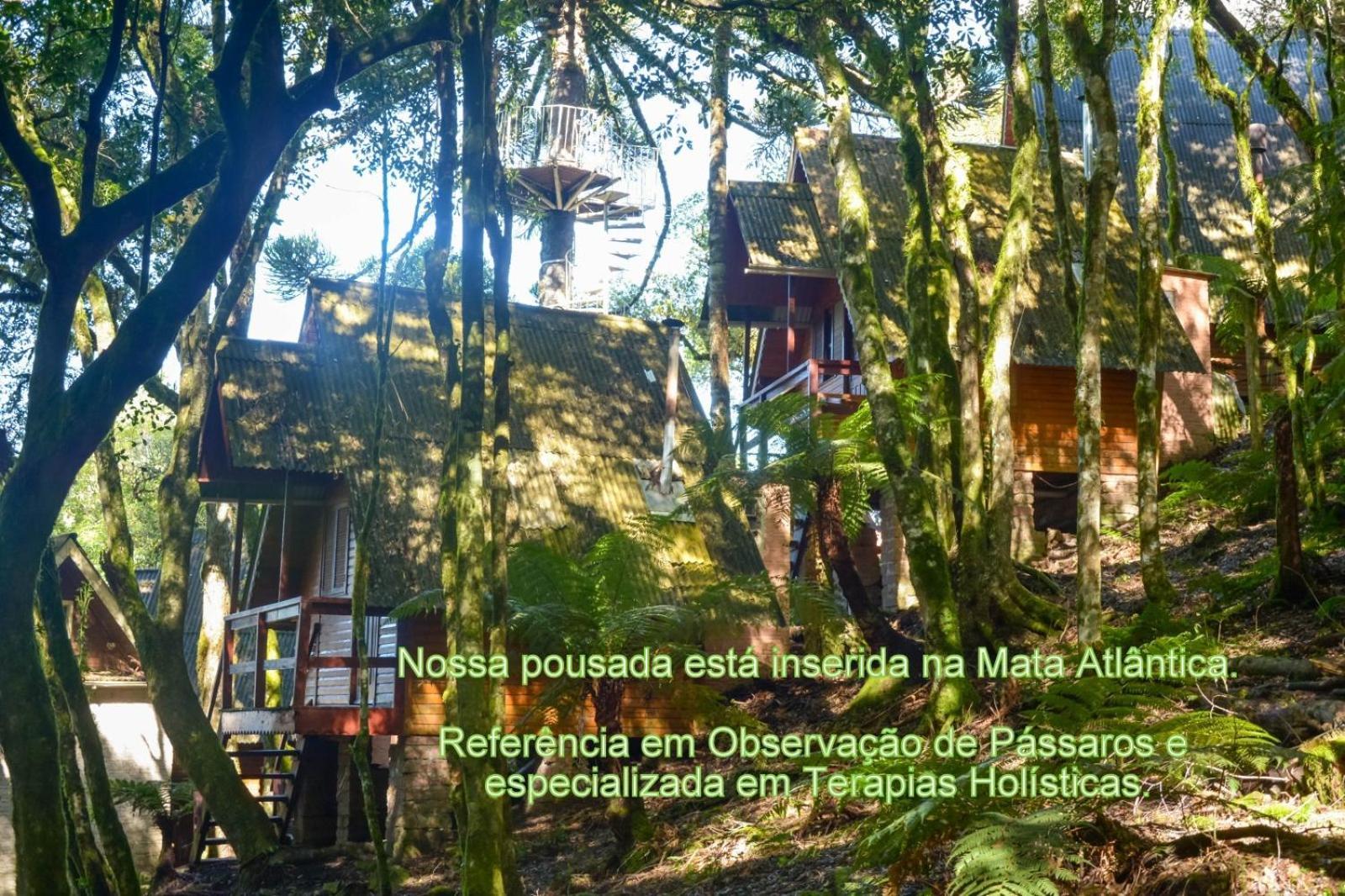 Recanto Da Mata Pousada São Francisco de Paula المظهر الخارجي الصورة